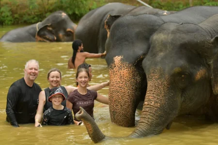 السباحة مع الفيلة